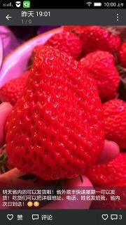 草莓国产视频,探寻本土草莓种植的魅力与风采