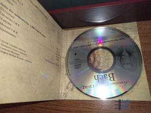 好看的碟片,盘点年度十大热门碟片